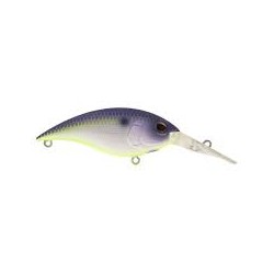 BERKLEY MONEY BADGER PURPLE...