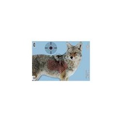 BIRCHWOOD CASEY TARGET COYOTE