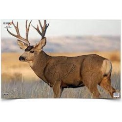 BC EZE SCORER MULE DEER TARGET