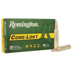 REMINGTON 300 WIN 180 GR...