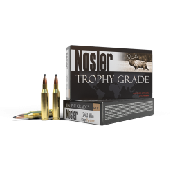 NOSLER AMMO TROPHY 243/85