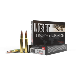 NOSLER AMMO 30-06/165 ABOND