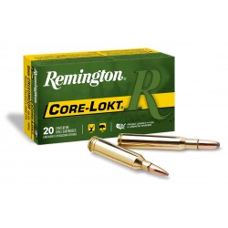 REMINGTON 250 SAVAGE 100 GR AV