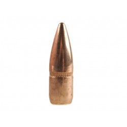 HORNADY BULLET 224/55...