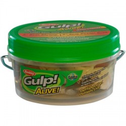 GULP MINNOW ASSORTMENT