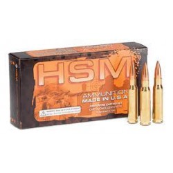 HSM AMMO 350 REM MAG