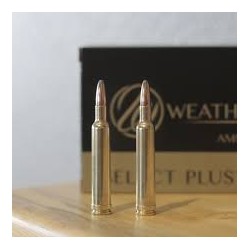 WEATHERBY 257 100GR SPZ