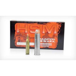 HSM AMMO 300 SAV