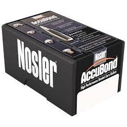 NOSLER BULLET 335/200