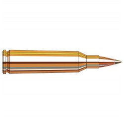 HORNADY AMMO 22-250 35 NTX SPF